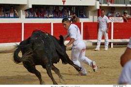 03_garlan-martin_1 (2)