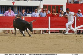 04_garlan-bruschet-_1