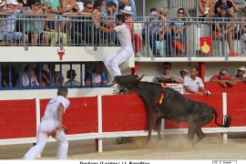 08_desbana-i benafitou_1