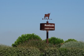 09_montcalm