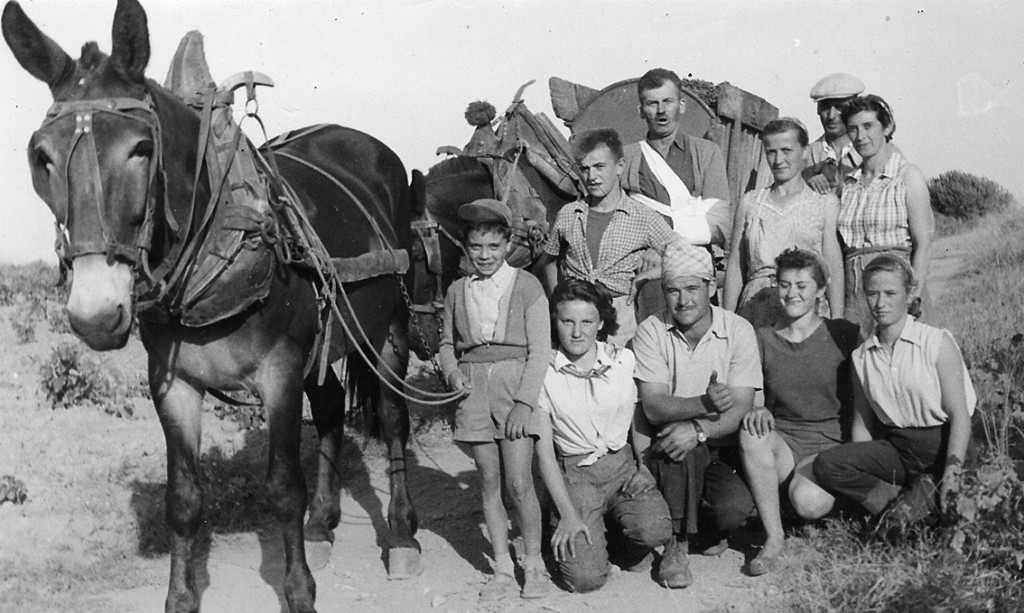 1955 Vendanges chez M. Pagès Photo © collection Alain Bronnert