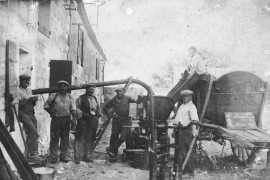 1955 : Vendanges au Mas de Bourry