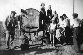 Vendanges dans les années 60