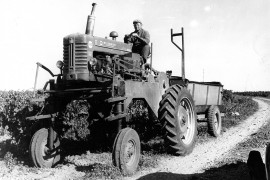 1960 : Pierre Pajot au Clos Valdet