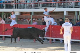 01_purpan-zekraoui_1_1