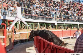 07_marquis-zekraoui_2_1