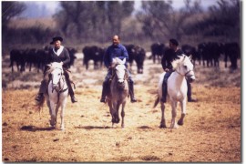 Fanfonne avec Jacques et Armand Espelly (Photo © Robert Faure)