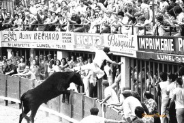 Parigot sur Jacky à Lunel en 1973 Photo © Robert Faure