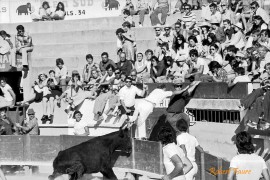 Tégel su César à Pérols en 1973 Photo © Robert Faure