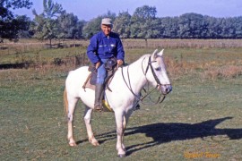 Armand Espelly au mazet du Cailar en 1982 Photo © Robert FAure