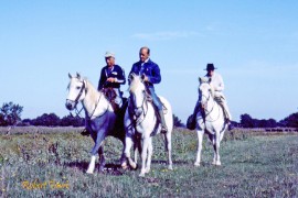 Armand, Jacques et Fanfonne au Cailar en 1983 Photo © Robert Faure