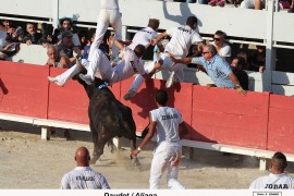 07_daudet(fm)_aliaga_1