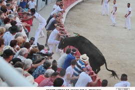 09_jivago(blat)_zekraoui_1
