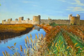 07_aigues-mortes