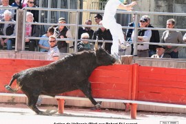 01_vallespir- robert  st  laurent(blat) 2016-04-10_07