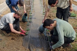 06_ouvriers_Sesame_Autisme