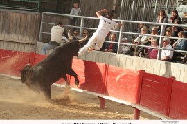 10_jason - ortiz  st  laurent(blat) 2016-04-10_01