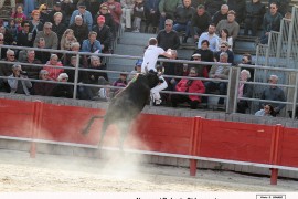 13_napaca - robert st  laurent(blat) 2016-04-10_01