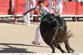 01_marcias (fm)_martin g_1