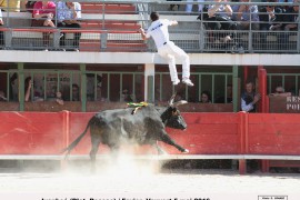 03_ivanhoe(blat)_favier_1