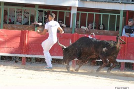 05_aioros(beaumelles)_belgourari_1