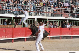 07_margasse(rambier)_belgourari_2