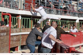 08_margasse(rambier)_poujol_1