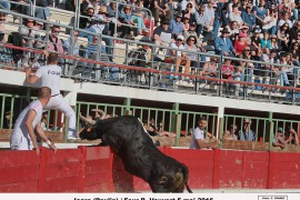 09_icare(paulin)_four_2