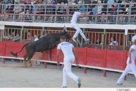 10_jazz (hervas)_poujol_3