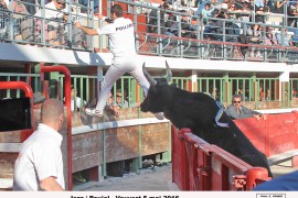 11_jazz (hervas)_poujol_1