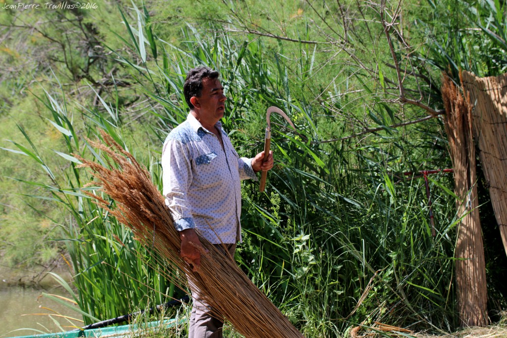 portrait-sagneur (02)