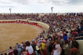 04_inauguration_statue_garlan