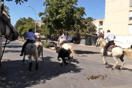 02_abrivado_avenue_de_la_costiere