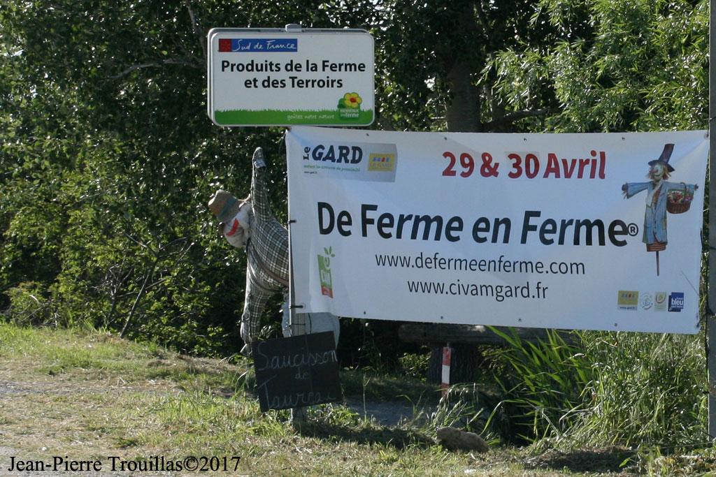 You are currently viewing De Ferme en Ferme en Camargue Gardoise