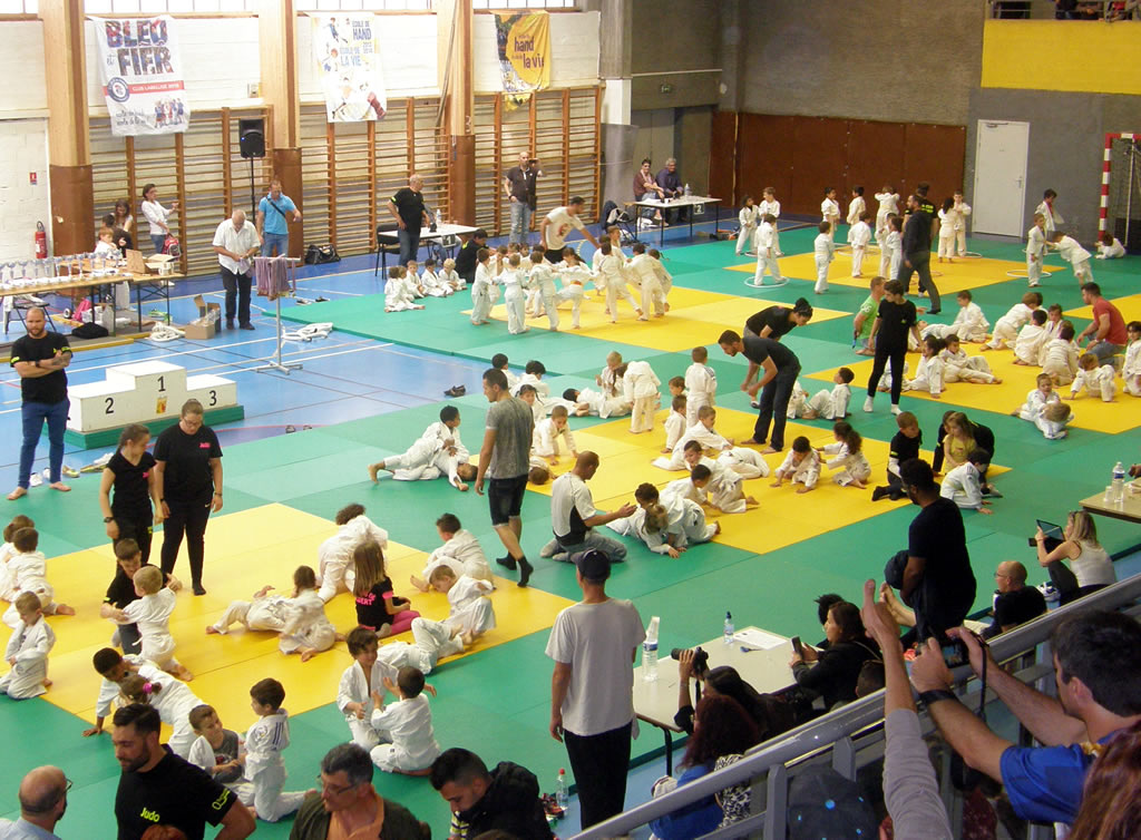 You are currently viewing Vauvert : Le tournoi de Judo 2017 fait salle comble