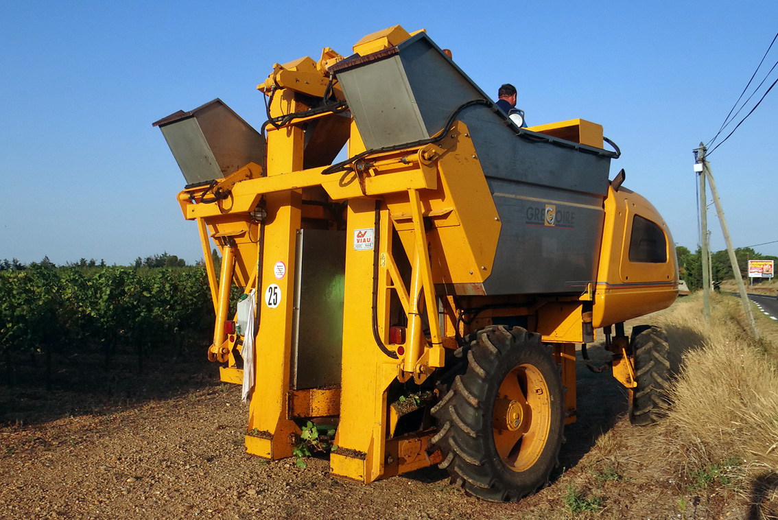 You are currently viewing Des vendanges extrêmement précoces