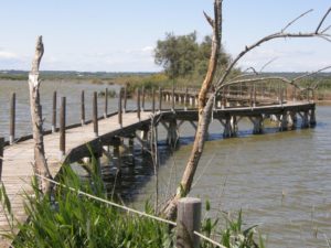 Lire la suite à propos de l’article Les journées du patrimoine en Petite Camargue