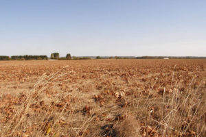Lire la suite à propos de l’article Une sécheresse automnale exceptionnelle dans le Gard