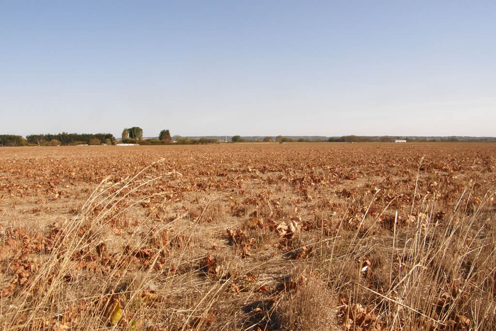 You are currently viewing Une sécheresse automnale exceptionnelle dans le Gard