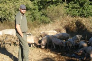 Lire la suite à propos de l’article Vauvert : Stéphan Vidil, un éleveur de cochons  pas tout à fait comme les autres