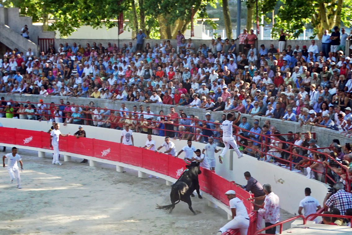 You are currently viewing Le Tridbull aux arènes de Beaucaire