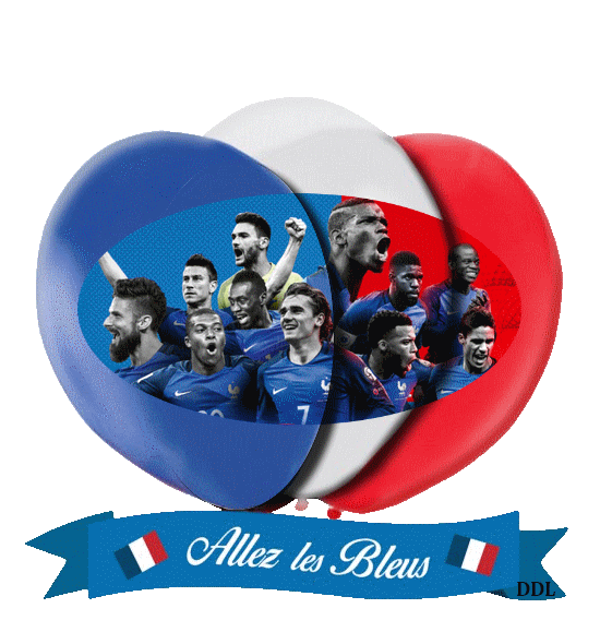 You are currently viewing Allez les bleus !