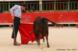 Lire la suite à propos de l’article Vauvert : Tentadero de machos, organisé par la Peña taurine Los Manzanares