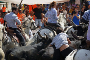 Lire la suite à propos de l’article Week-end d’ouverture de la fête votive de Beauvoisin