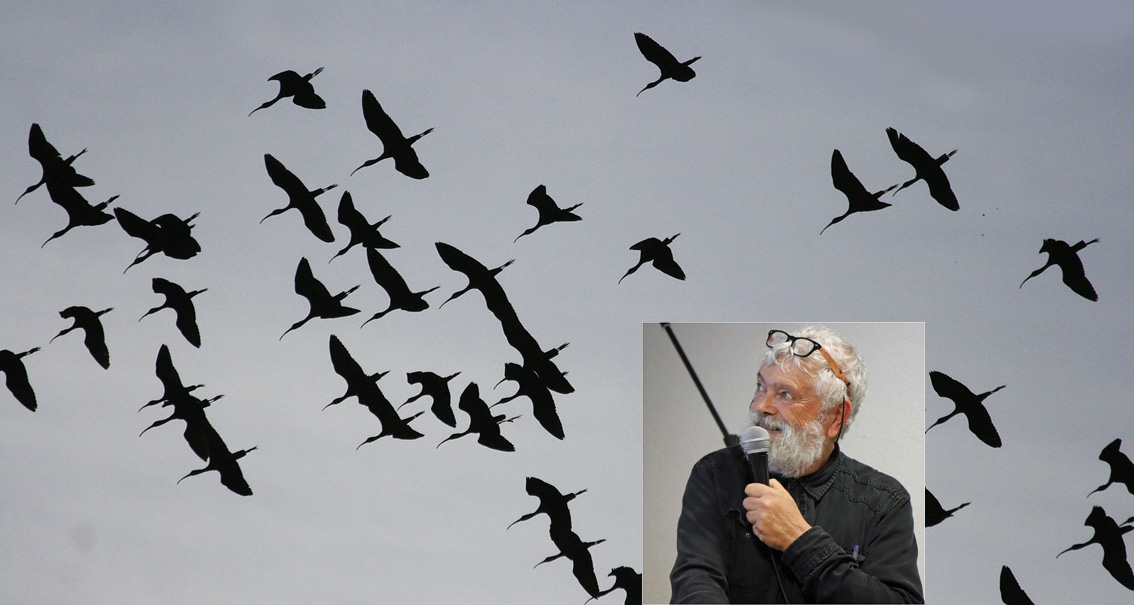 You are currently viewing Le Centre Ornithologique du Gard s’est réuni au Scamandre