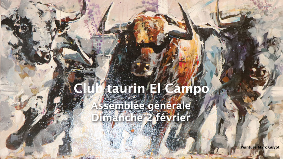 Lire la suite à propos de l’article Club Taurin El Campo en assemblée générale