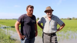 Lire la suite à propos de l’article Désherbage du riz par les canards : Bernard Poujol transmet son savoir-faire à Mathieu Lacan