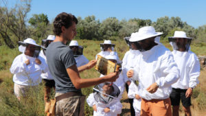Lire la suite à propos de l’article Récolte et dégustation du miel à l’île aux abeilles