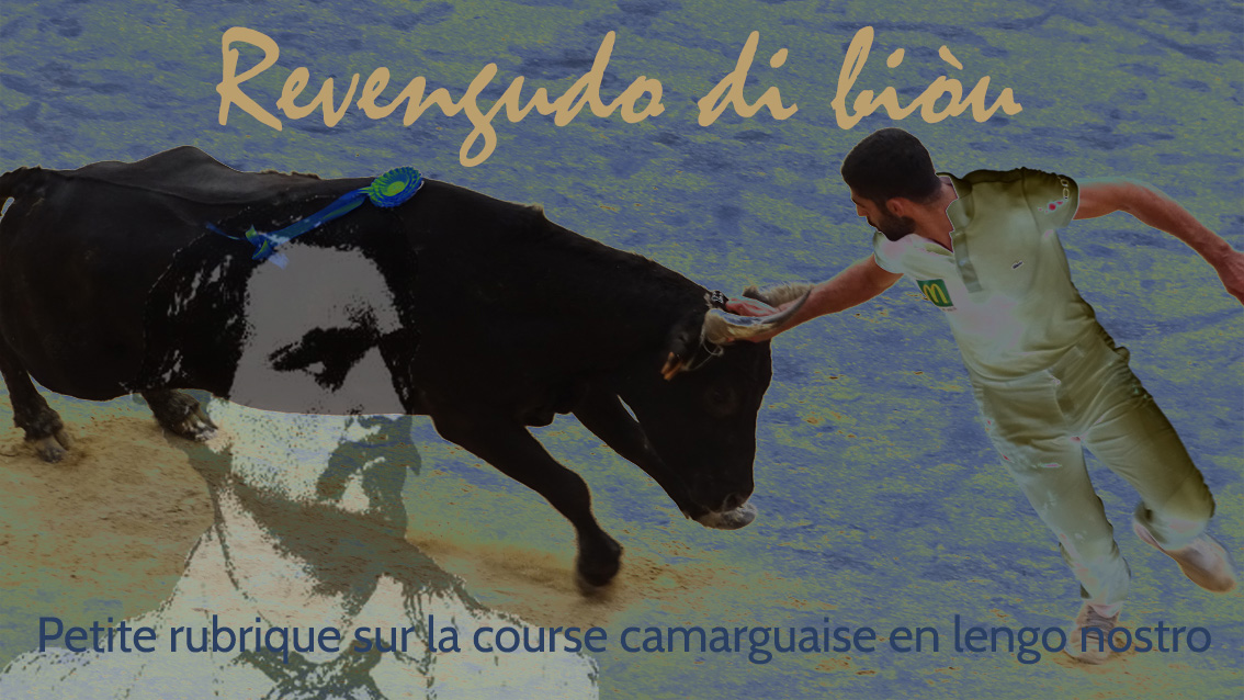Lire la suite à propos de l’article Revengudo di biòu : Petite rubrique taurine en langue provençale