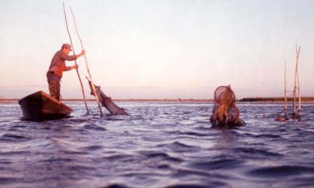 Les Montel : Cinq générations de pêcheurs à Gallician